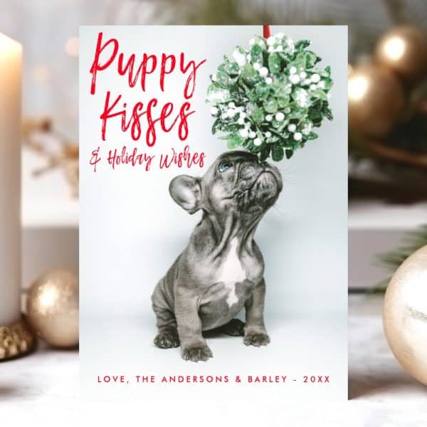 Christmas Card Featuring A French Bulldog Puppy Looking Up At Mistletoe. The Text Says Puppy Kisses &Amp; Holiday Wishes.