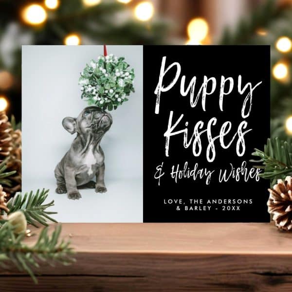 Christmas Card Featuring A French Bulldog Puppy Looking Up At A Mistletoe Ball. Text Overlay Says Puppy Kisses &Amp; Holiday Wishes.