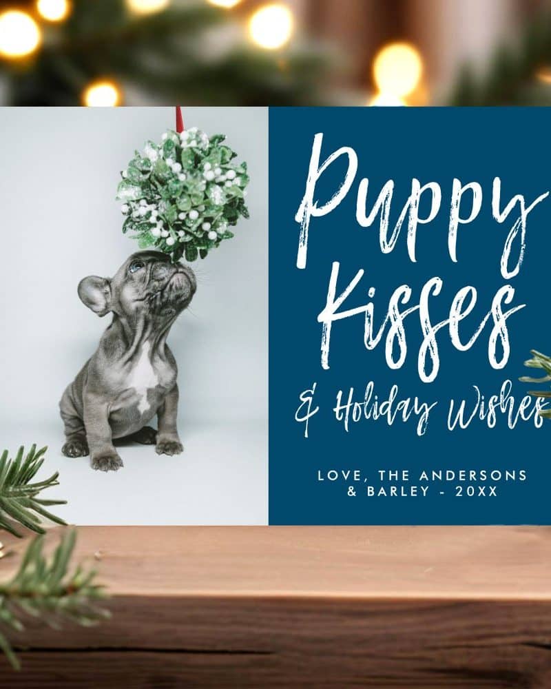 A holiday greeting card featuring a French bulldog puppy looking up at a mistletoe ball. The card is dark blue with white text that reads Puppy Kisses & Holiday Wishes.