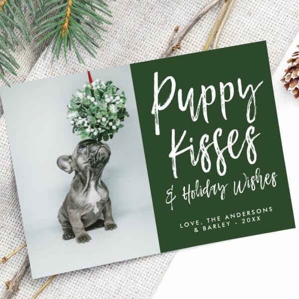 Christmas Card Featuring A French Bulldog Puppy Looking Up At A Mistletoe Ball. The Card'S Text Says Puppy Kisses &Amp; Holiday Wishes.