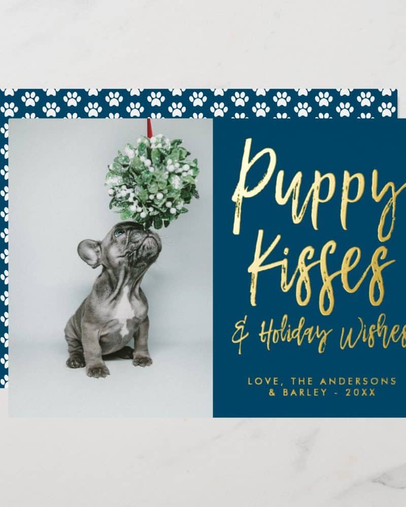 A navy blue Christmas card featuring a photo of a French bulldog puppy looking up at a mistletoe sprig. Gold lettering reads Puppy Kisses & Holiday Wishes.