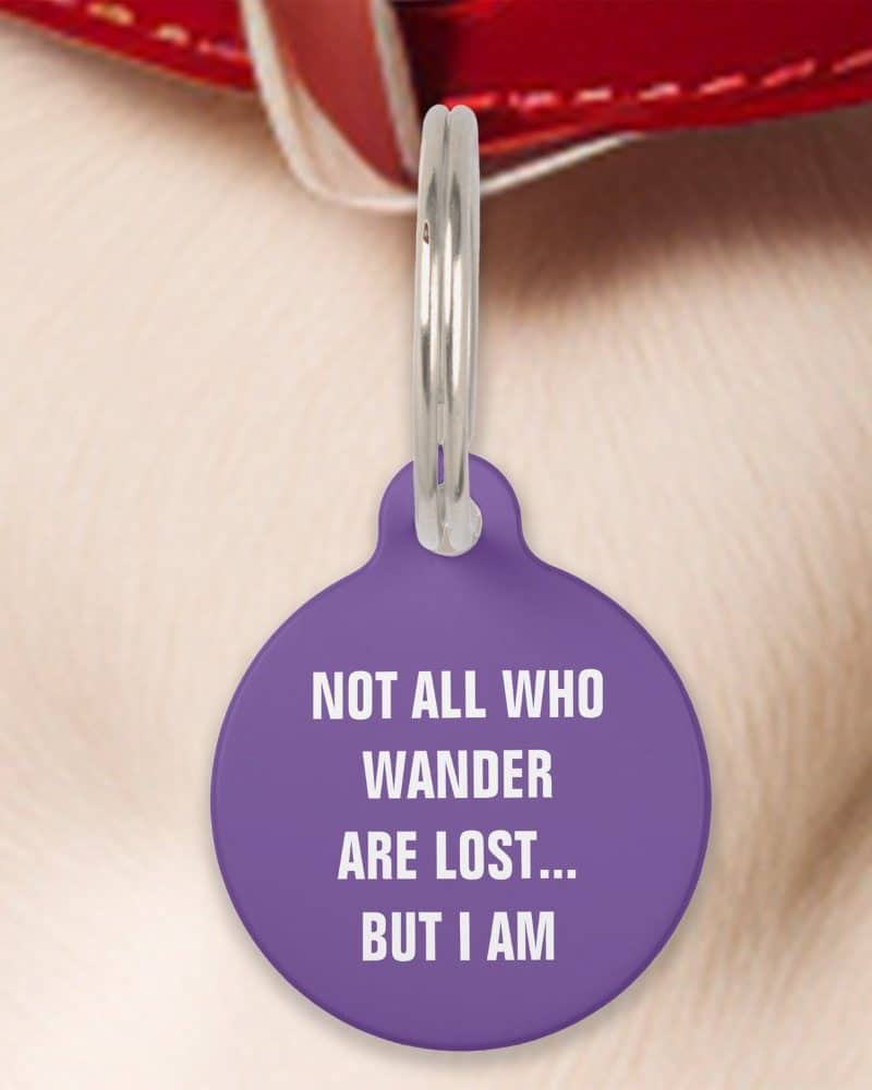 Purple pet ID tag with the text: Not all who wander are lost... but I am.