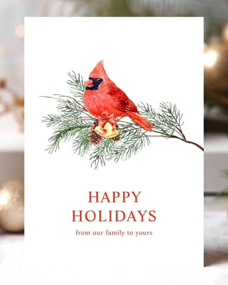 Holiday card featuring a watercolor painting of a cardinal perched on a pine branch with ornaments. The text reads Happy Holidays from our family to yours.
