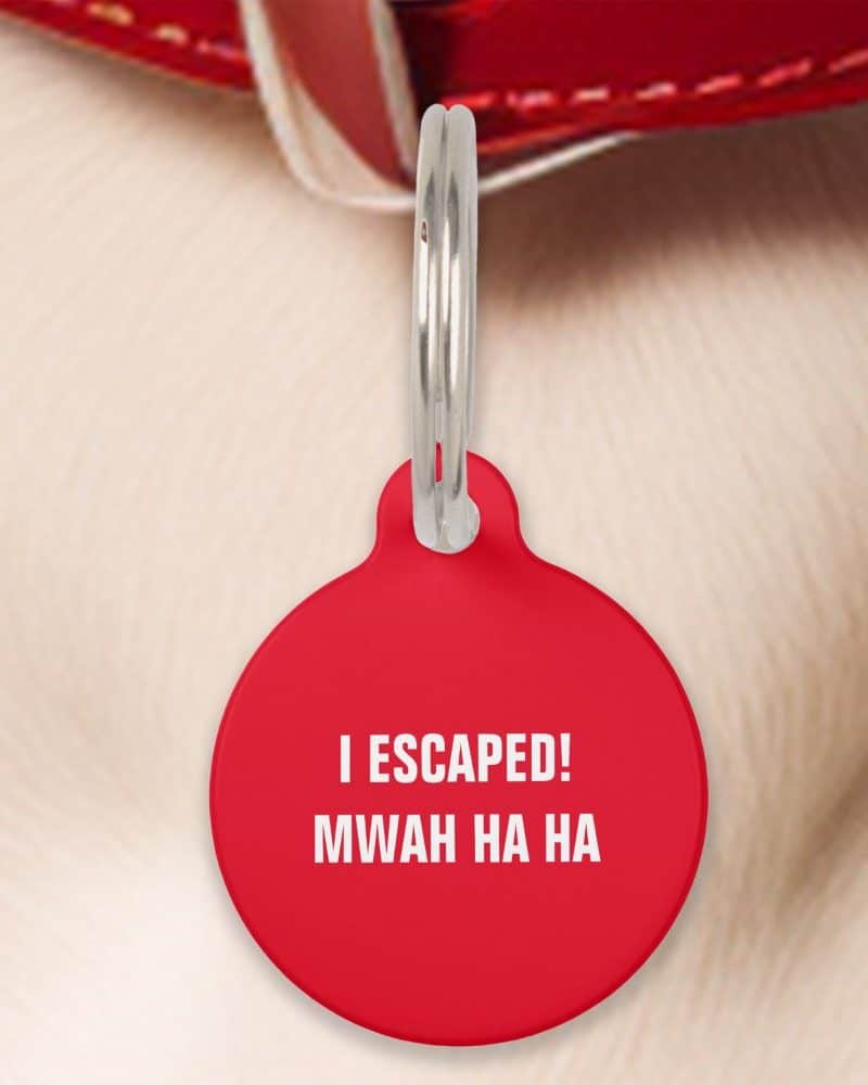 Red pet ID tag attached to a collar, reading I escaped! Mwah ha ha.