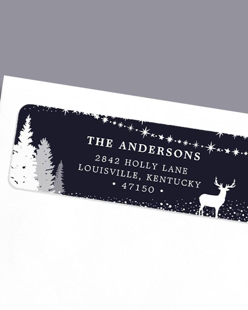 A dark blue holiday return address label with white silhouettes of pine trees, a deer, and stars. The Andersons' address is printed in white.