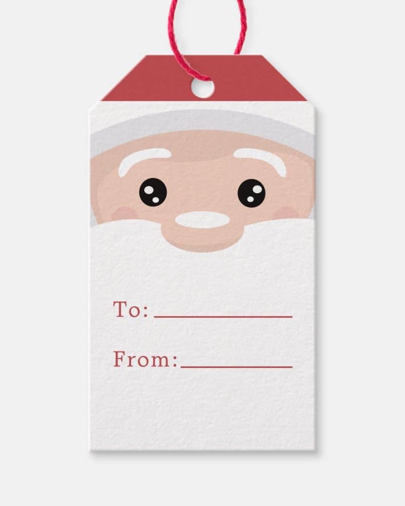 Christmas gift tag featuring Santas face and spaces to write to and from.