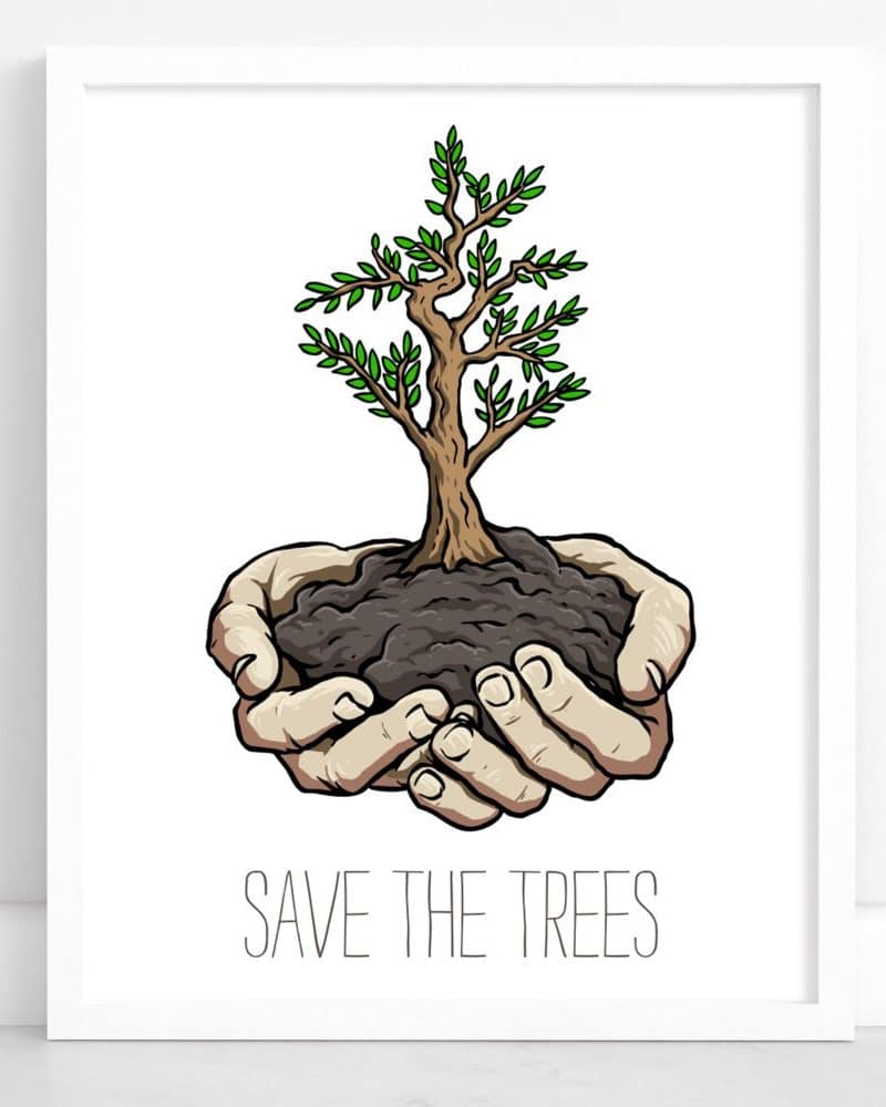 Two hands gently cradling a young tree sapling. Save the Trees.