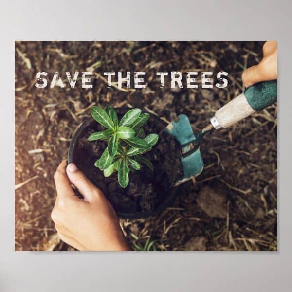 Hands Planting A Small Tree Sapling In Soil With A Trowel. Save The Trees.