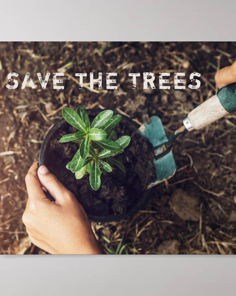 Hands planting a small tree sapling in soil with a trowel. Save the trees.