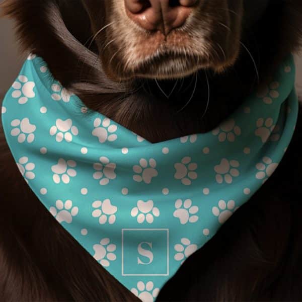 Brown Dog Wearing A Teal Bandana With White Paw Prints And A White Initial S.