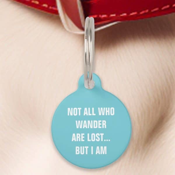 Light Blue Pet Id Tag With The Text: Not All Who Wander Are Lost... But I Am.