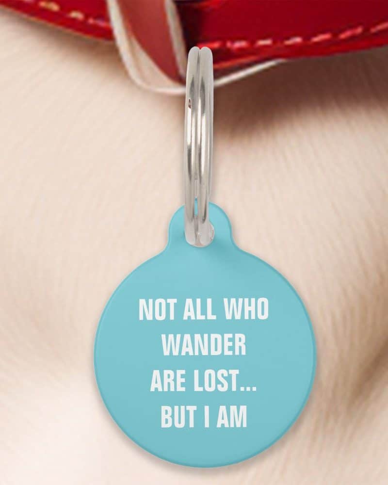 Light blue pet ID tag with the text: Not all who wander are lost... but I am.