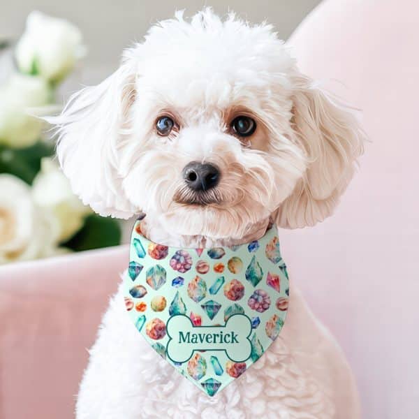 White Fluffy Dog Wearing A Teal Bandana With A Watercolor Gemstone Pattern And The Name Maverick.