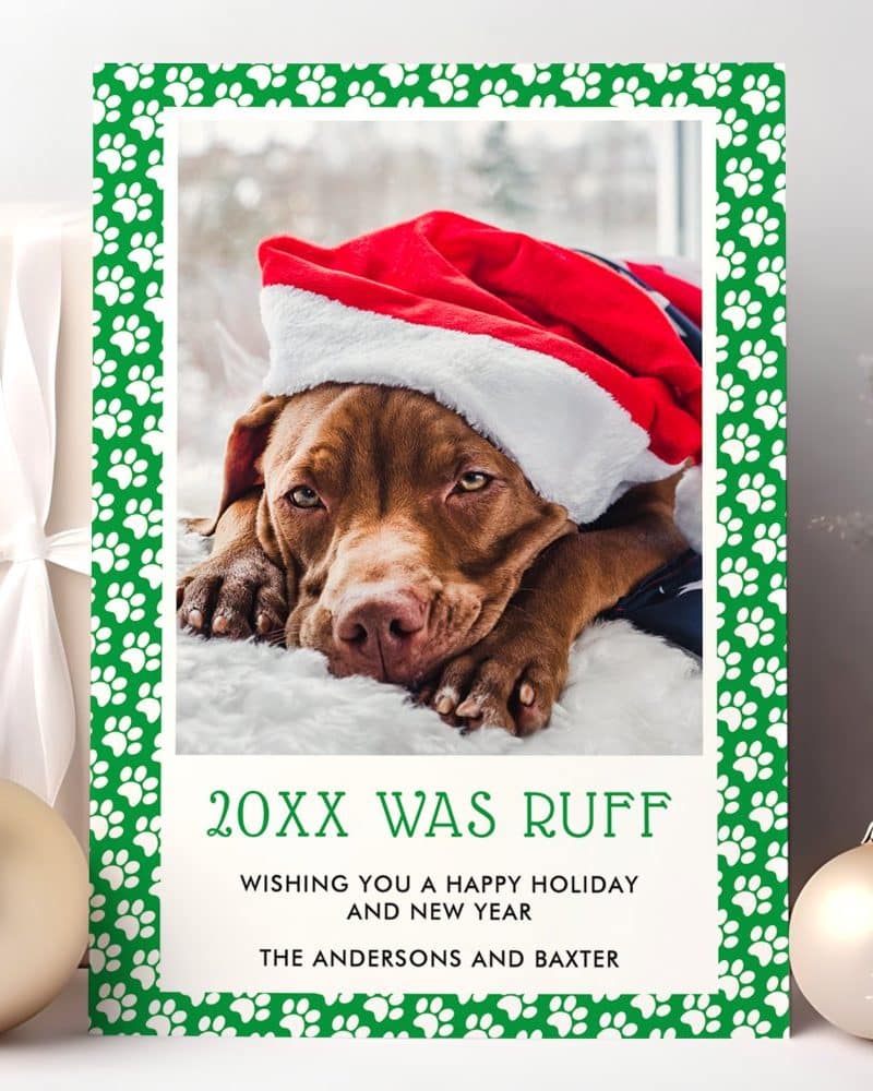 Christmas holiday card featuring a brown dog wearing a Santa hat.
