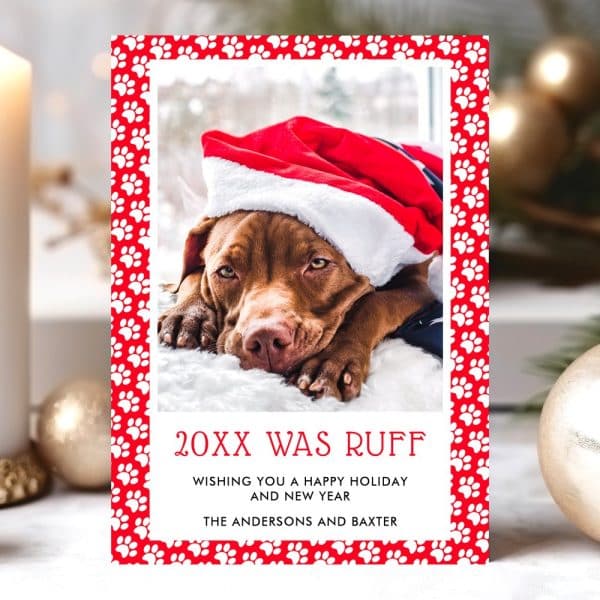 Christmas Holiday Card Featuring A Brown Dog Wearing A Santa Hat.