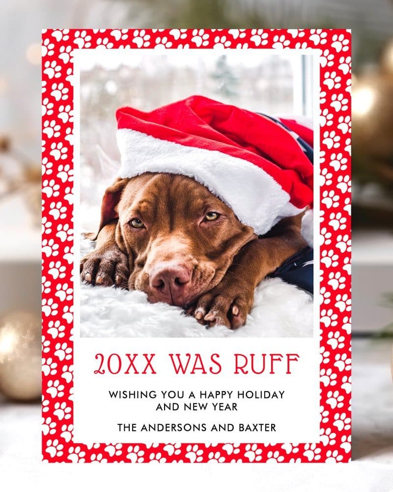 Christmas holiday card featuring a brown dog wearing a Santa hat.