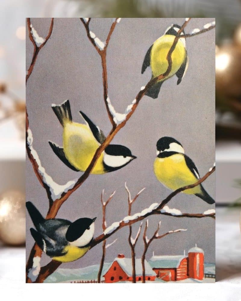 Four yellow and black birds perched on a snow-covered branch in front of a snowy farmhouse.
