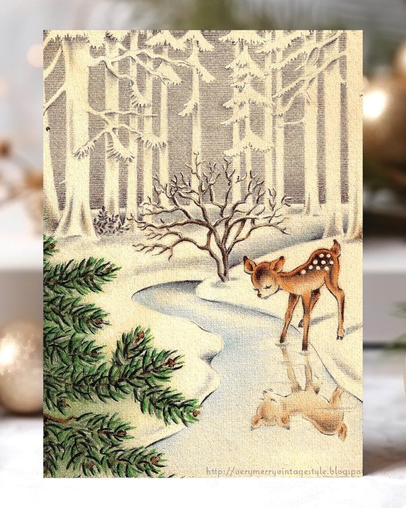 A fawn looking at its reflection in a frozen stream in a snowy forest.