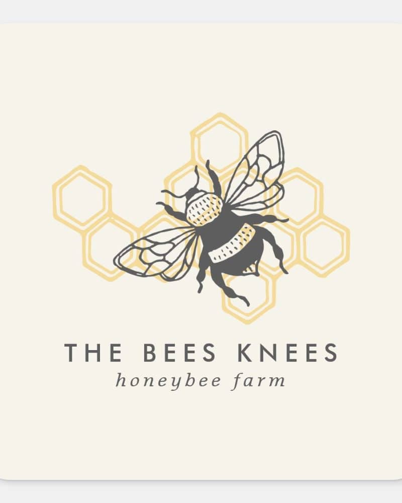 A gray bumblebee over a yellow honeycomb graphic; The Bees Knees honeybee farm.