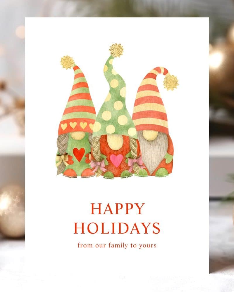 Holiday greeting card featuring three gnomes.