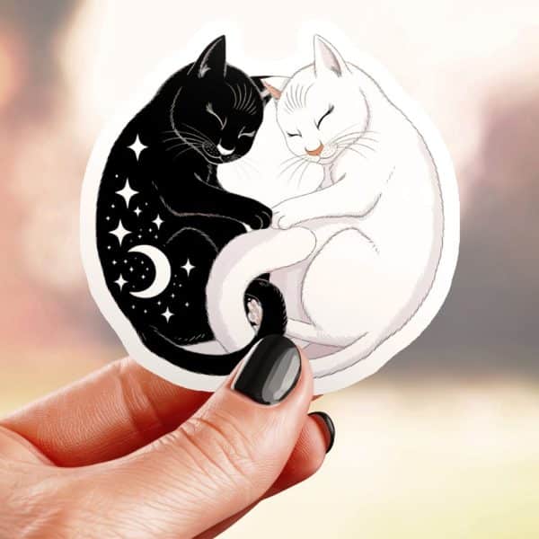 Yin And Yang Symbol Formed By A Black Cat And A White Cat Cuddling.